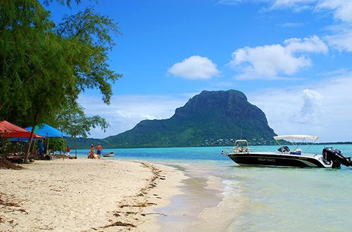 深海鱼救援